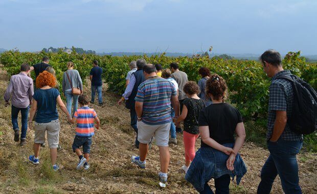 Mecenes del projecte Crowd Wine visitant la vinya Ca l'Escalló